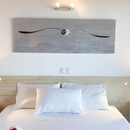Anatoli - Luxury Seafront With Private Infinity Pool シヴォタ